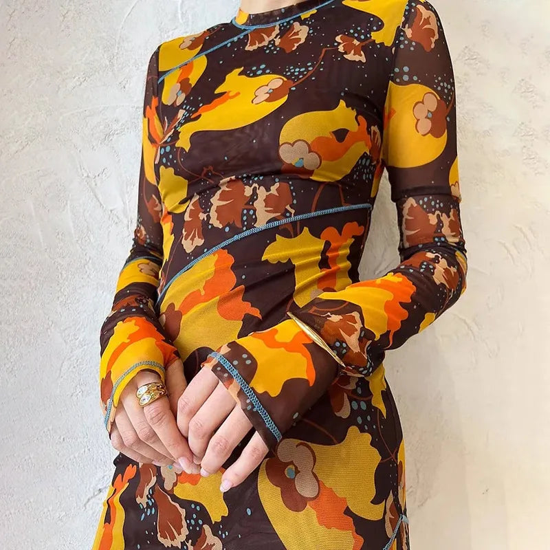 Jaden Flower See-Through Mesh Vintage French Style Long Sleeve Split Maxi Dress