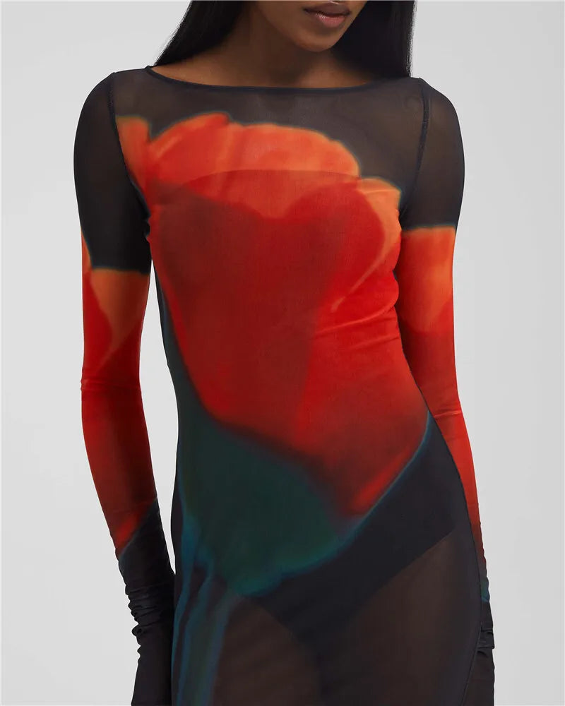 Moz See-Through Mesh Print Sheer Long Sleeve O Neck Transparent Long Dress