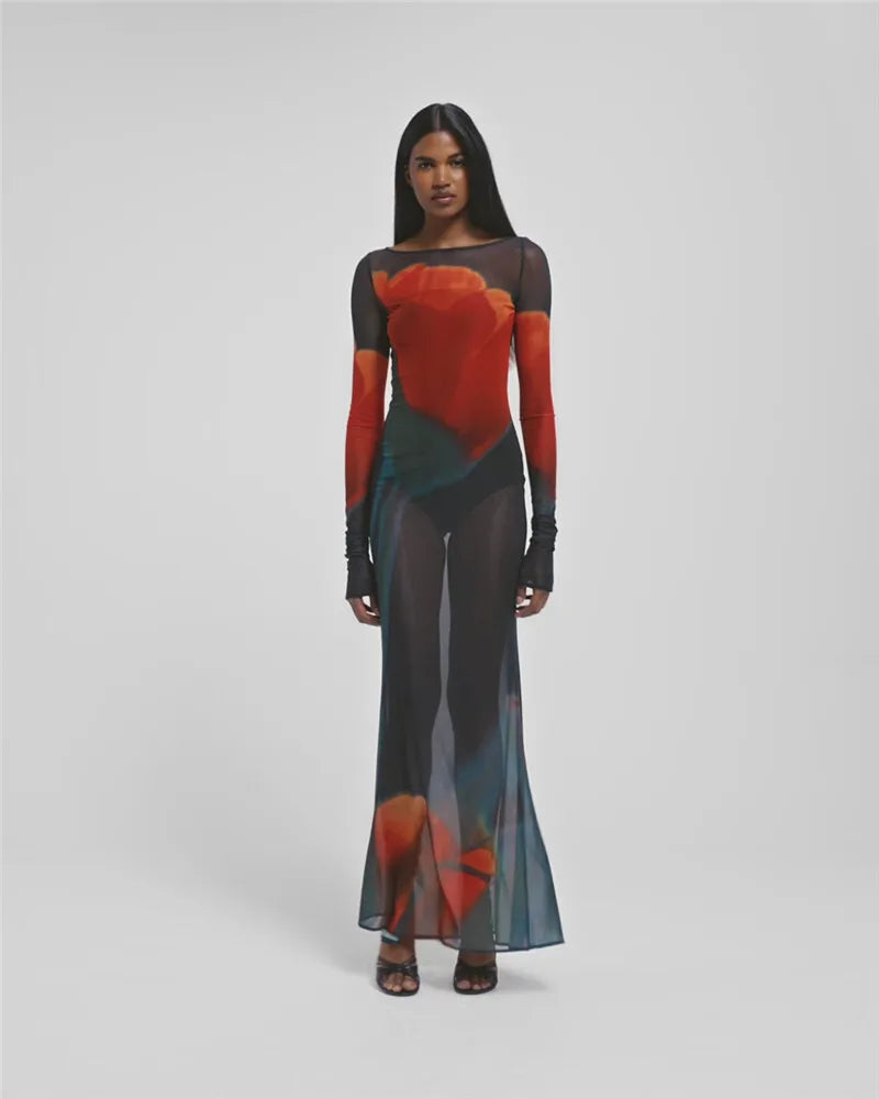 Moz See-Through Mesh Print Sheer Long Sleeve O Neck Transparent Long Dress